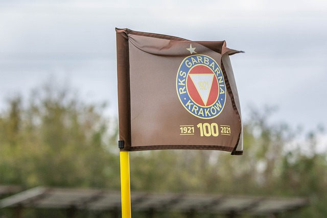 展示了他们 展示了他们