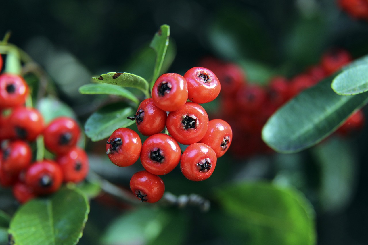 们在关键篮 们在关键篮