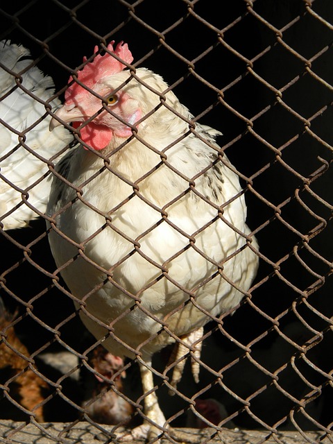 现在体育新 现在体育新