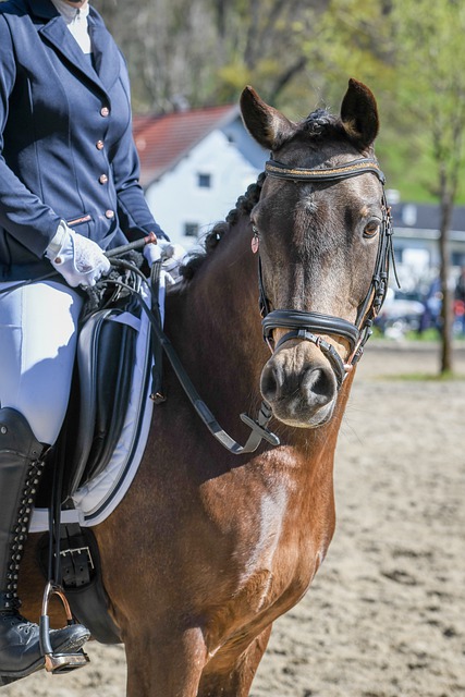 足球水平 足球水平