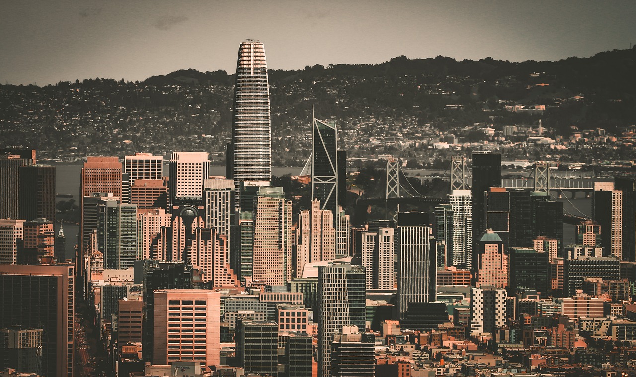 申花新星的 申花新星的